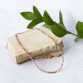 Tortoise Celsian ~ 16"